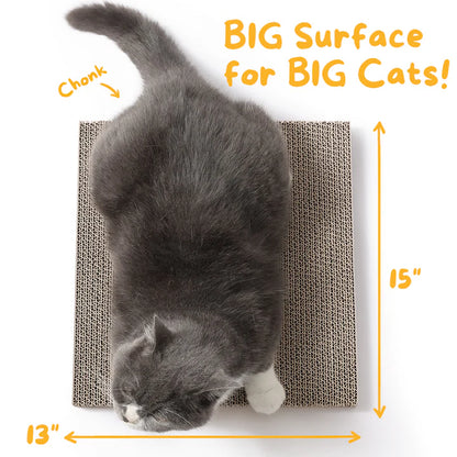 Scratch Pad Refills for Hide & Scratch Box (or use on their own)(Case of 14)
