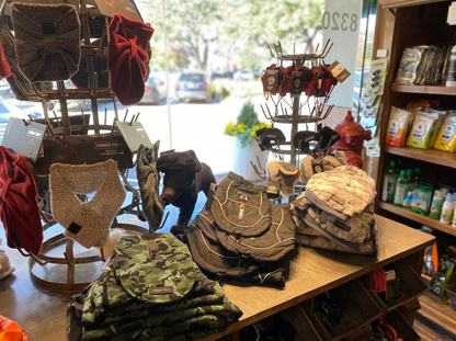 The Lucky Dog Barkery