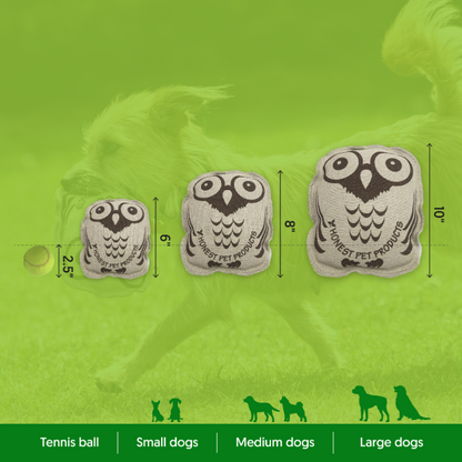ECO-OWL BUDDY