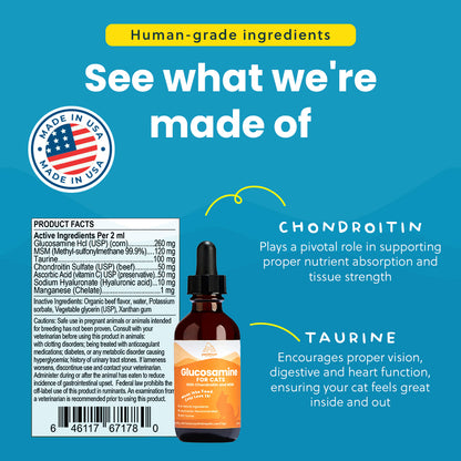 Liquid Glucosamine For Cats