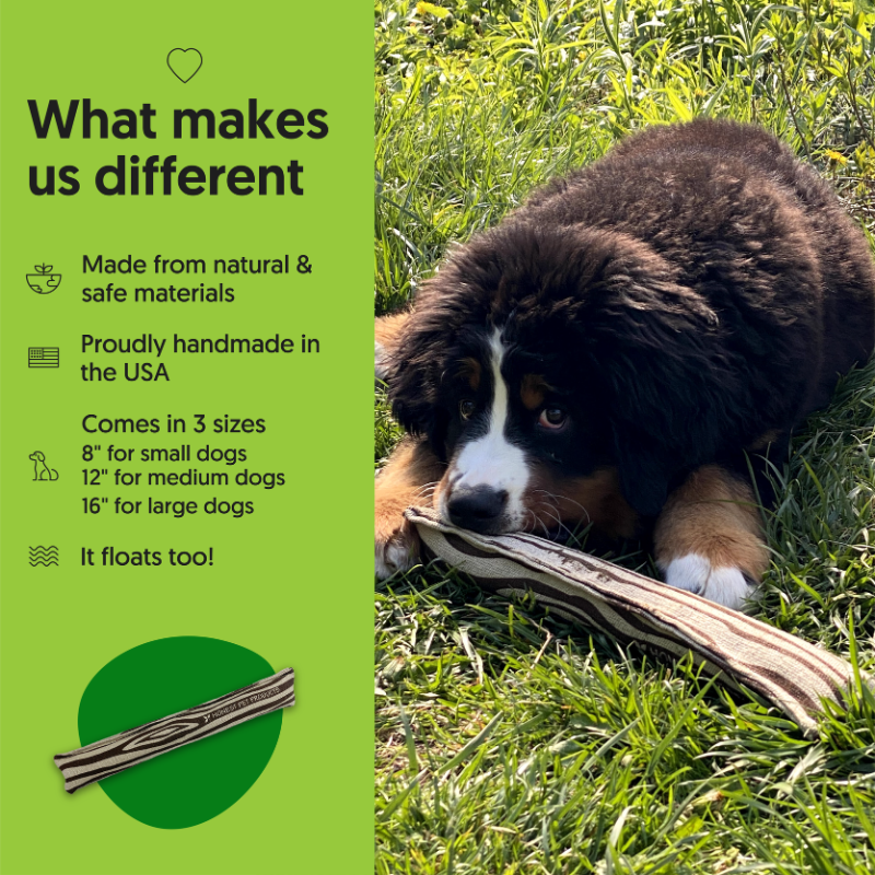 ECO-FETCHIN' STICK