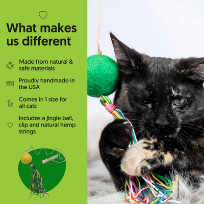 ECO-KITTY COMET