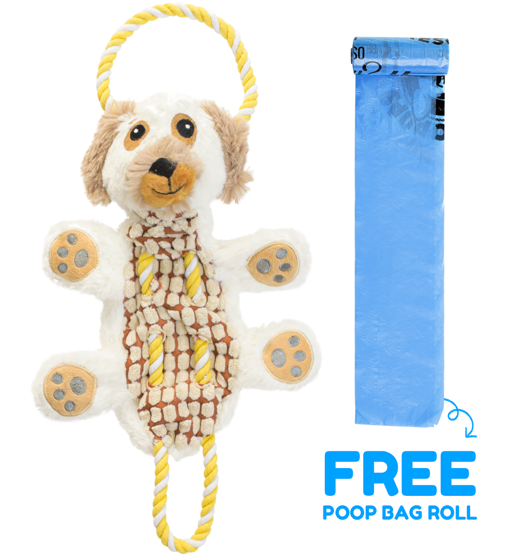 Rescue Rovers: Roscoe (for Small and Medium Dogs)