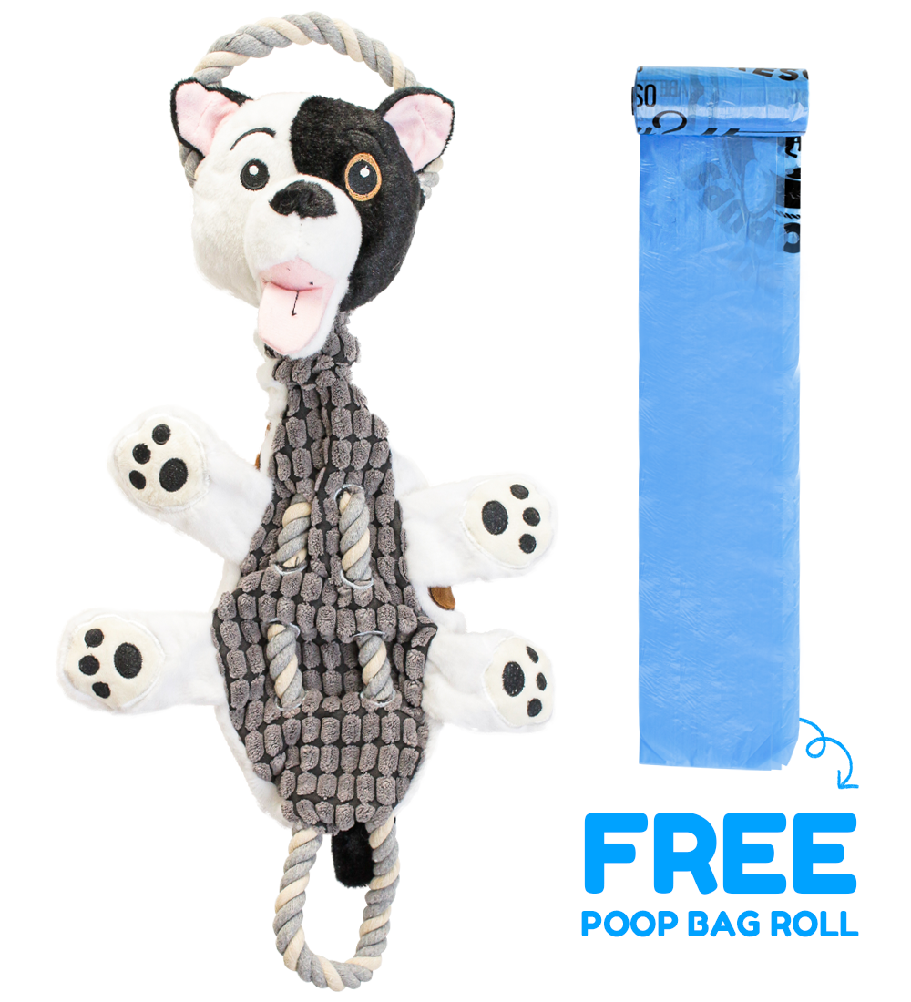Rescue Rovers: Reese (for Medium and Large Dogs)