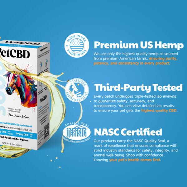 CBD Tincture for Equines