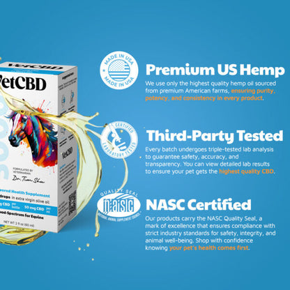 CBD Tincture for Equines