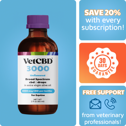 CBD Tincture for Equines