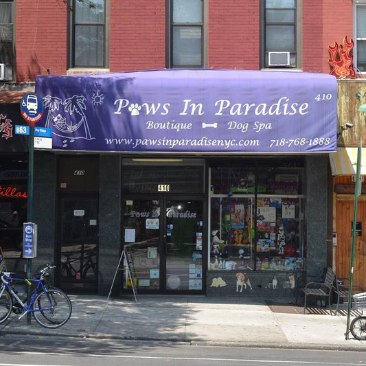 Paws In Paradise NYC