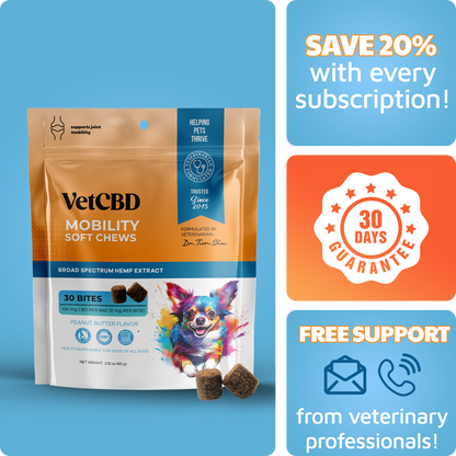 CBD Mobility Chews for Dogs