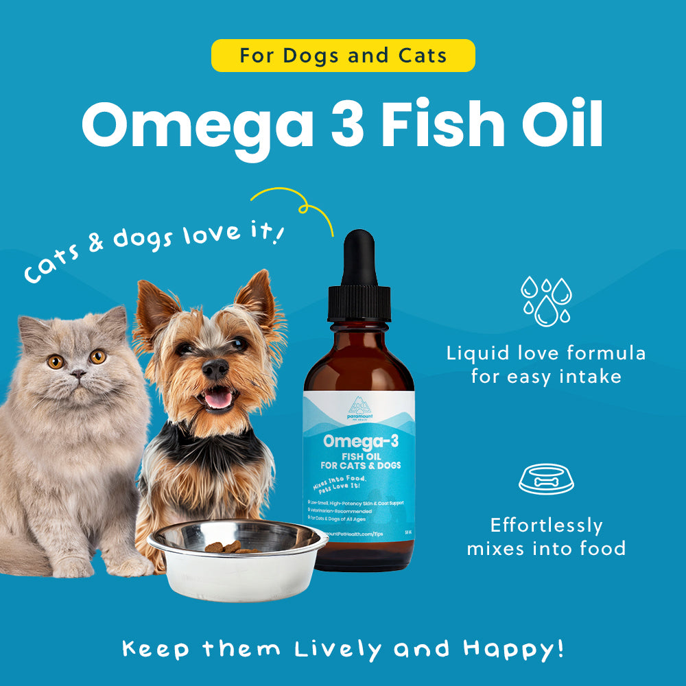 Omega-3 Fish Oil for Cats and Small Dogs