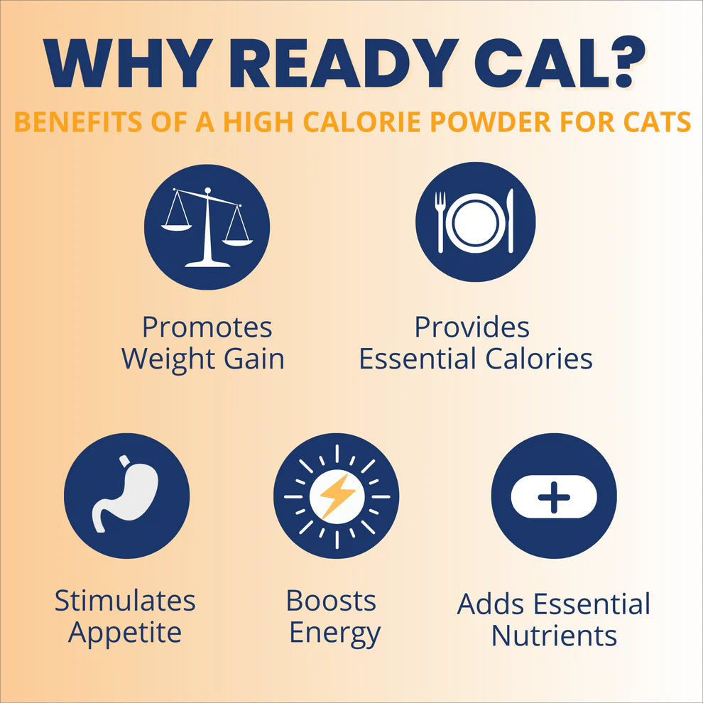 Ready Cal™ High Calorie Powder for Cats
