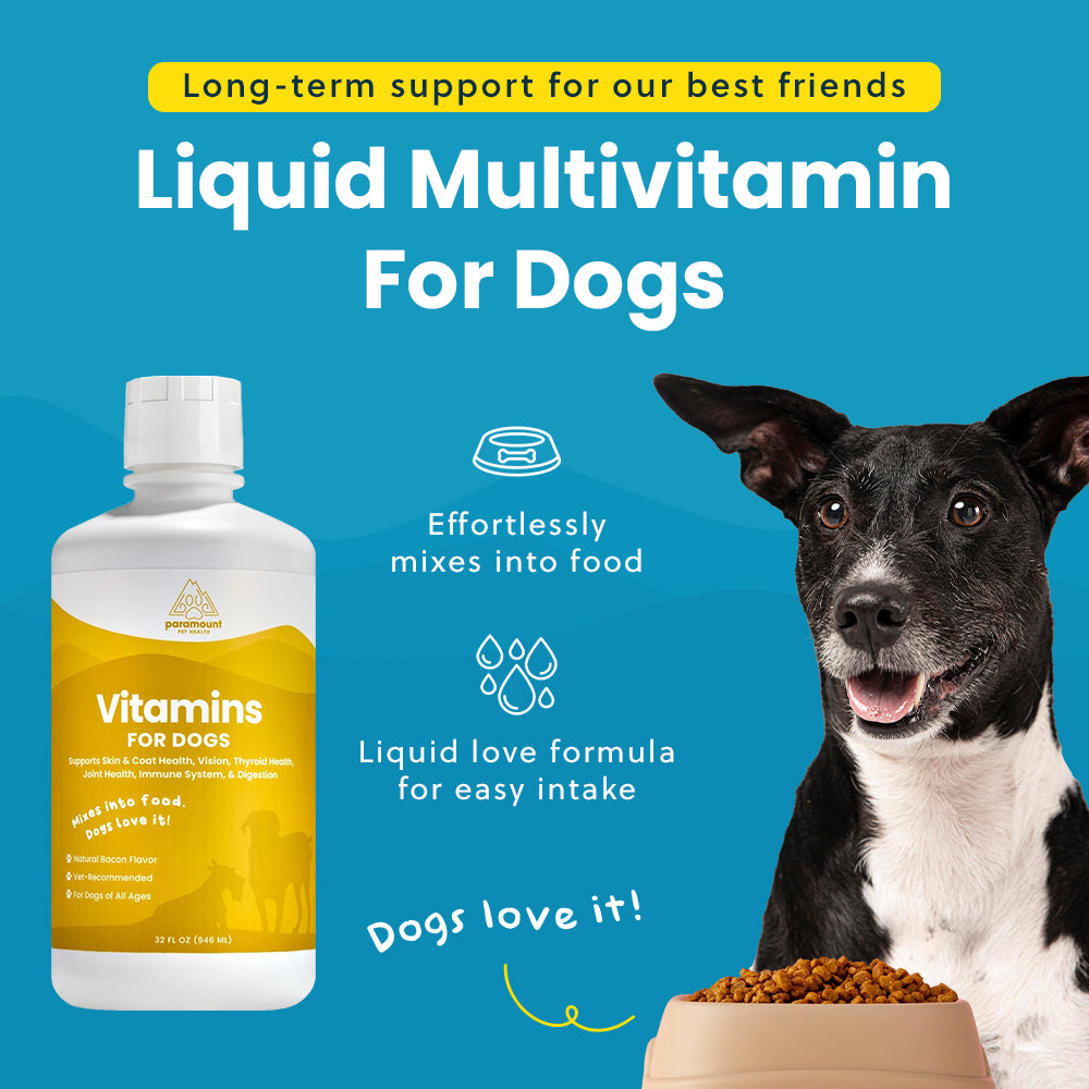 Liquid Vitamins for Dogs