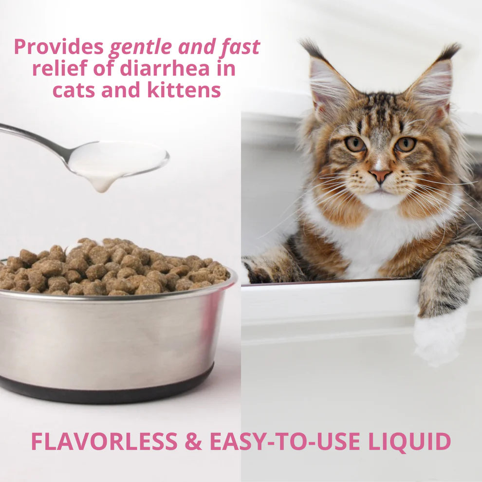 Anti-Diarrhea Liquid For Cats