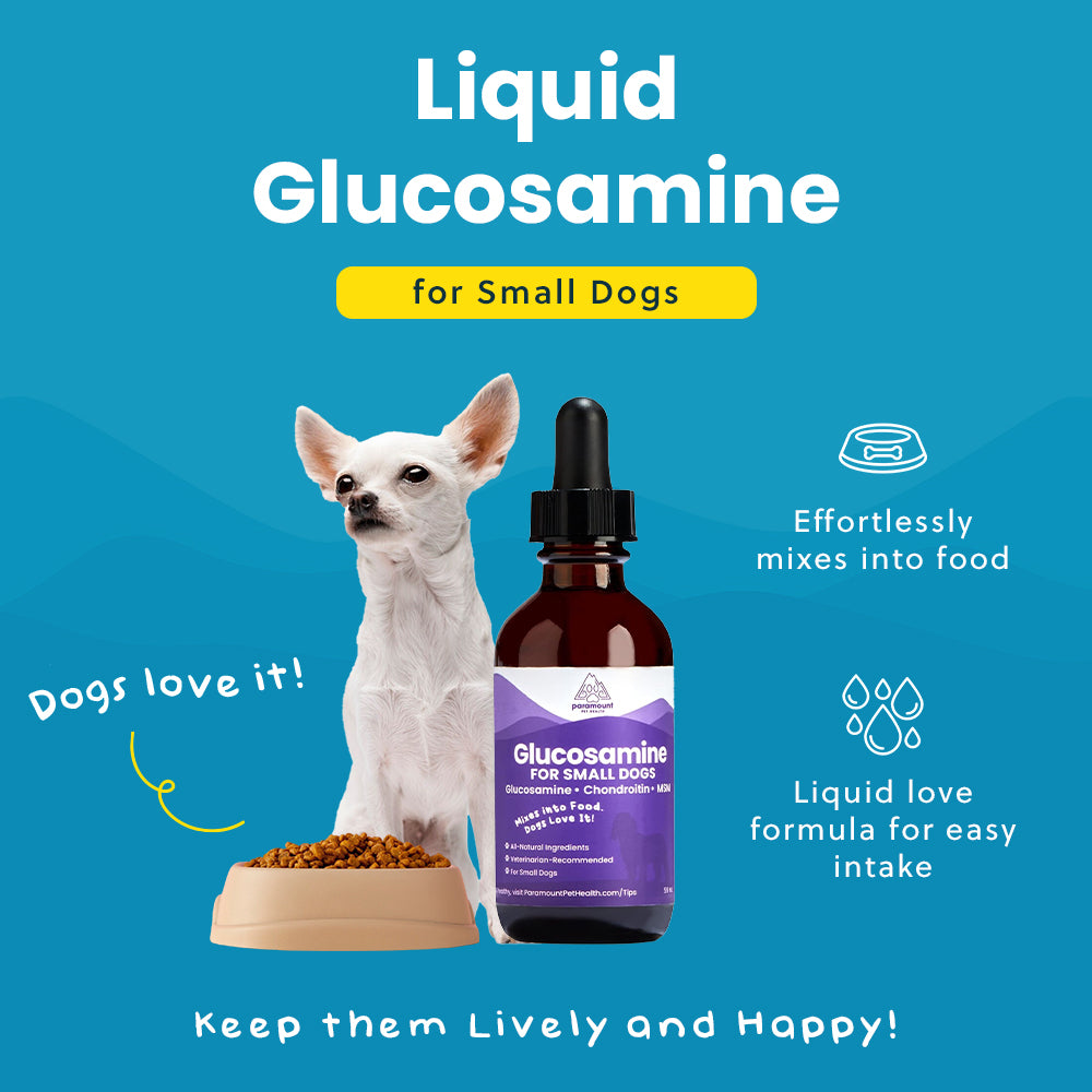 Liquid Glucosamine For Small Dogs