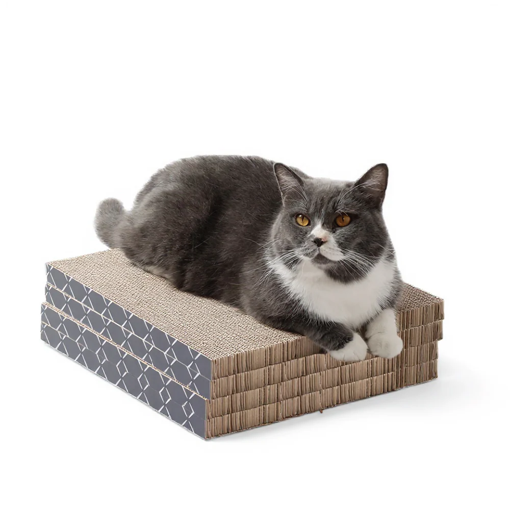 Scratch Pad Refills for Hide & Scratch Box (or use on their own)(Case of 14)