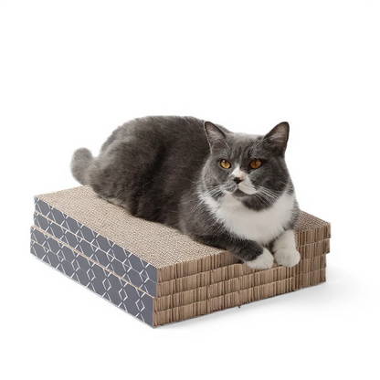 Scratch Pad Refills for Hide & Scratch Box (or use on their own)(Case of 14)