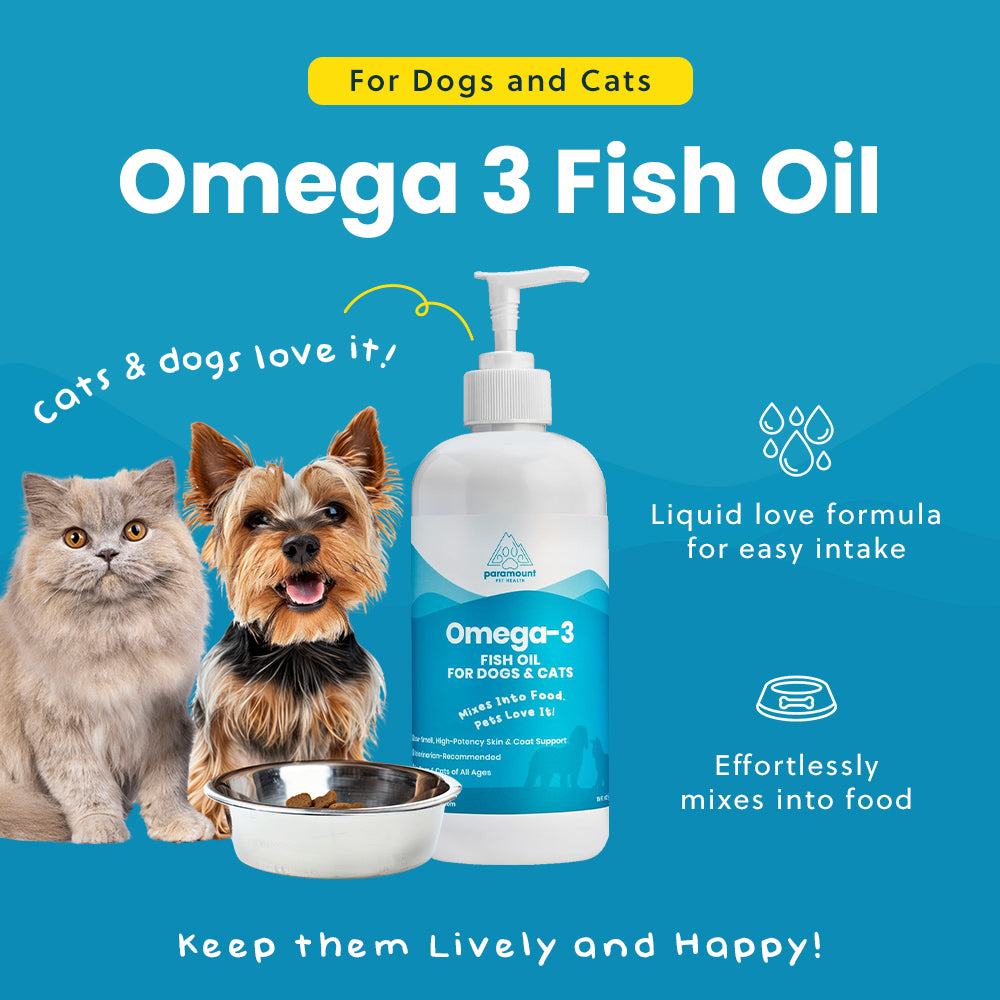 Omega-3 Fish Oil for Dogs and Cats