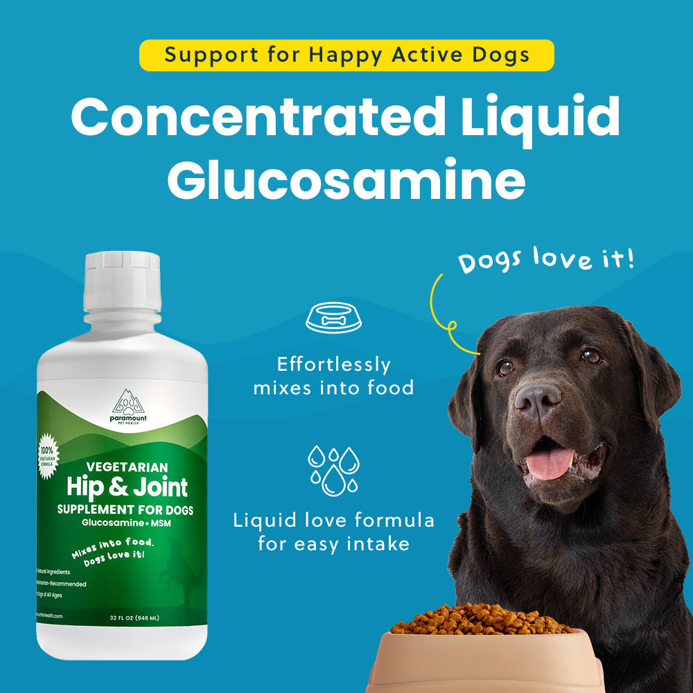 Vegetarian Glucosamine For Dogs