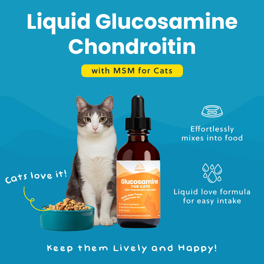 Liquid Glucosamine For Cats