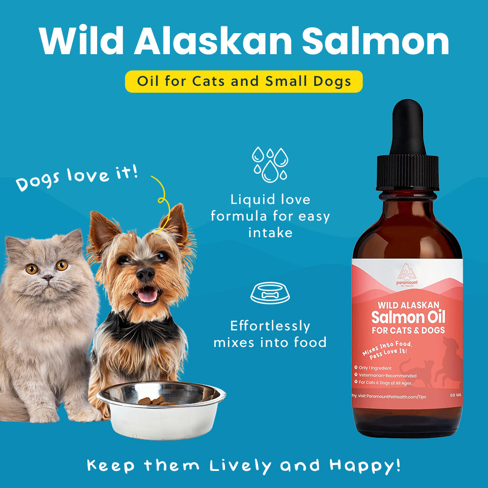 Wild Alaskan Salmon Oil for Cats and Small Dogs