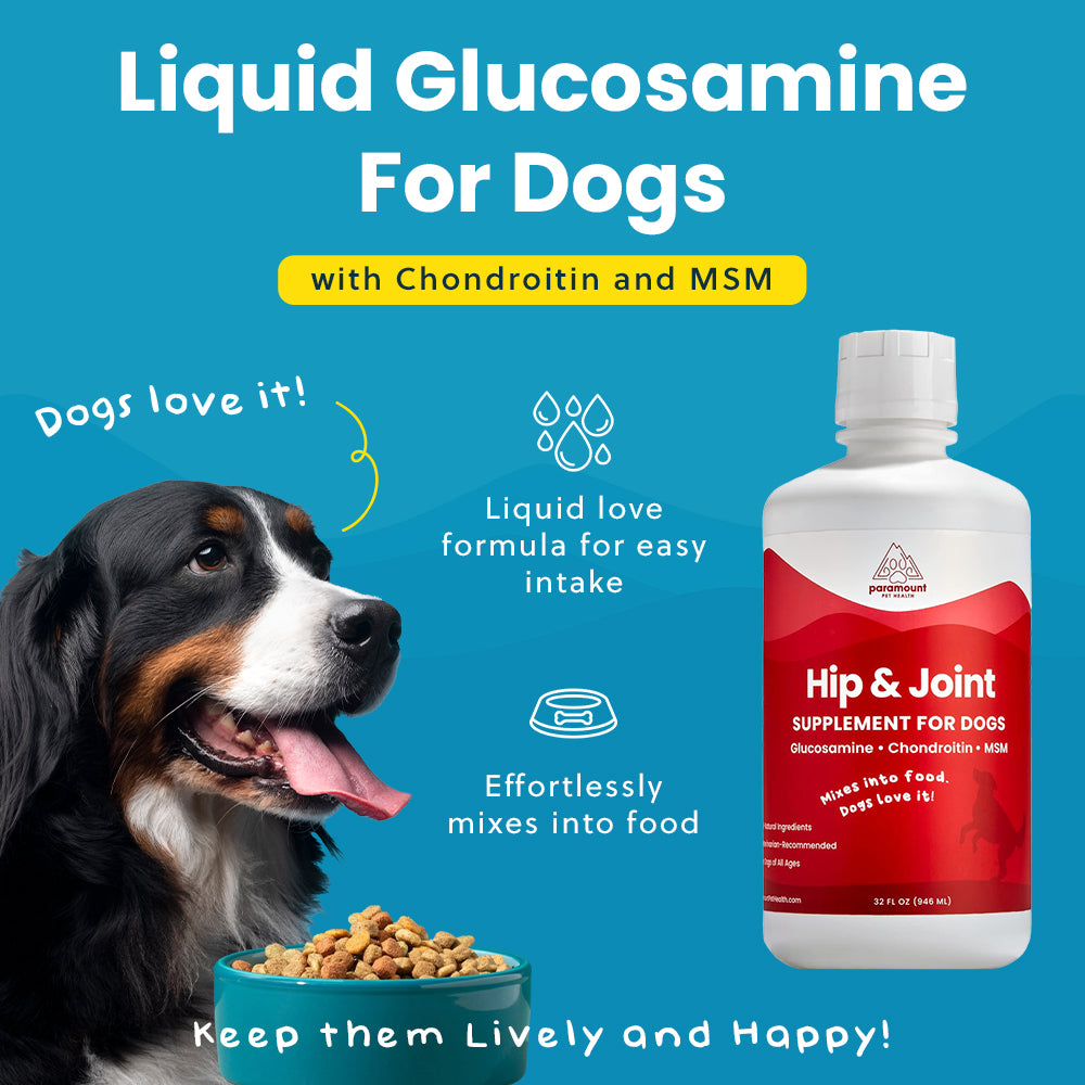 Liquid Glucosamine for Dogs