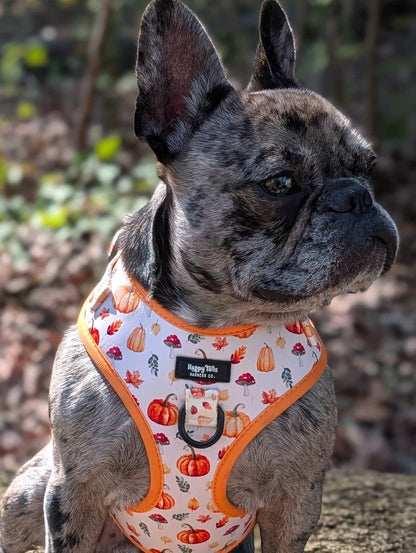 Pumpkin Patch Adjustable Harness