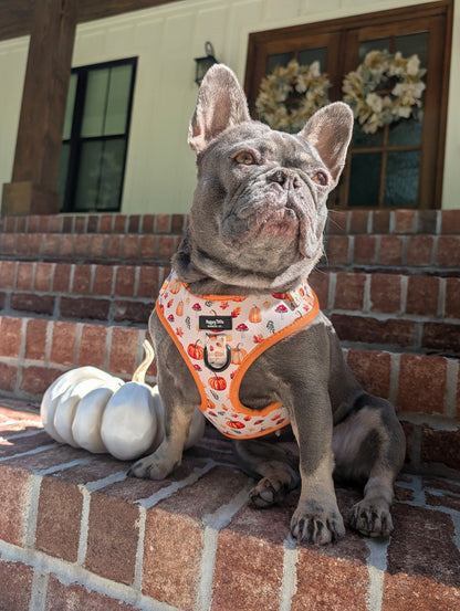 Pumpkin Patch Adjustable Harness