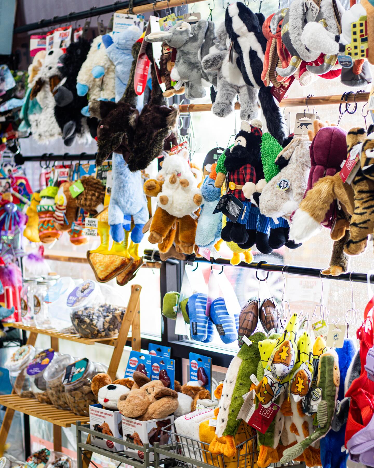 468981252_18470344519037996_2760192427645760478_n.jpg__PID:caa1a3b2-887c-4c94-80d4-fca04c1989b4