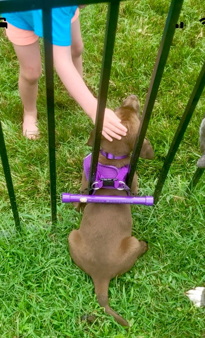 Picket Protector (Harness / Vest Not Included)