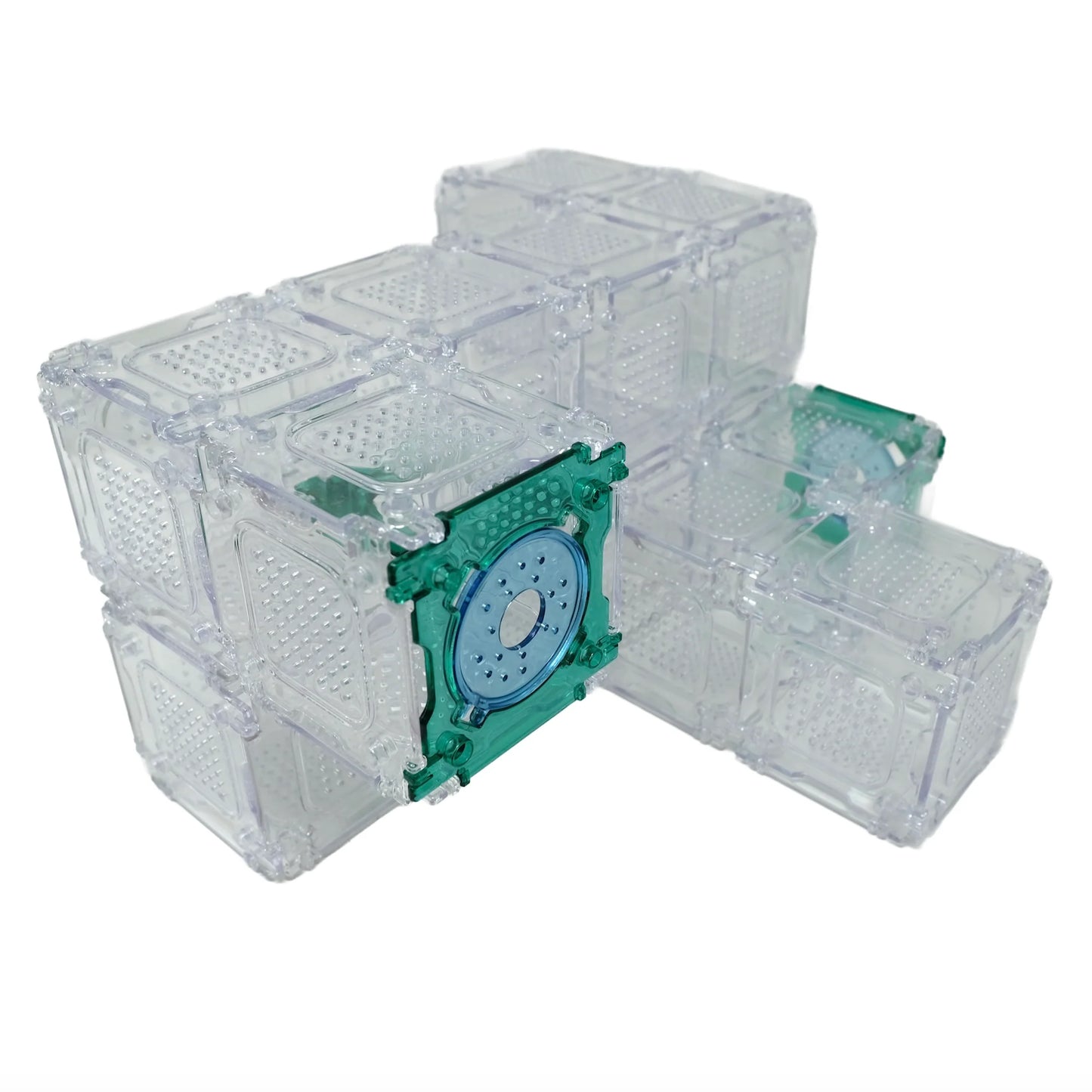Burrow Bricks