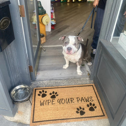 471226022_122136263900391174_25927173024424910_n.jpg__PID:aac1d27a-2f90-48dd-8105-d40a144927f4