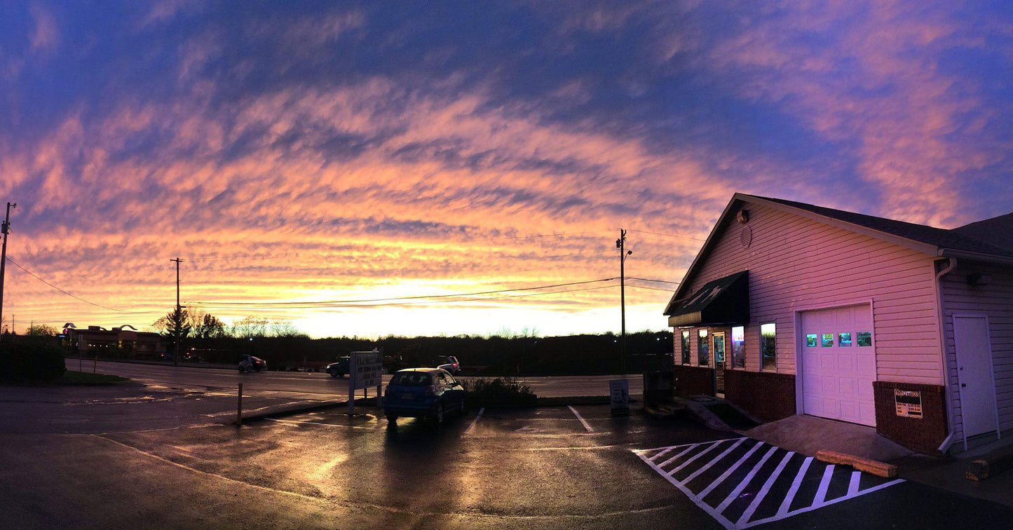 T&T Pet Food and Supply