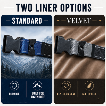 Rugged Fi-Compatible Dog Collar