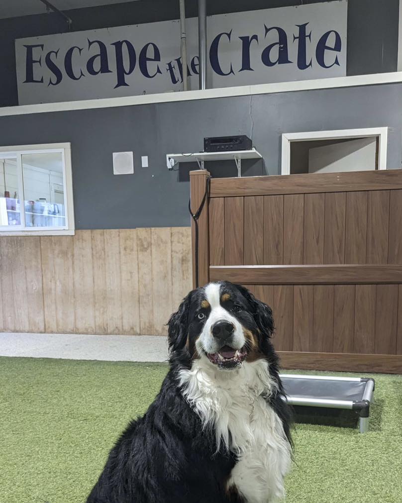 Escape the Crate - Garden City