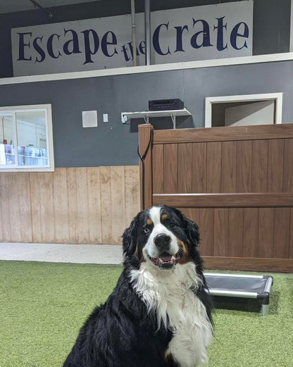 Escape the Crate - Garden City