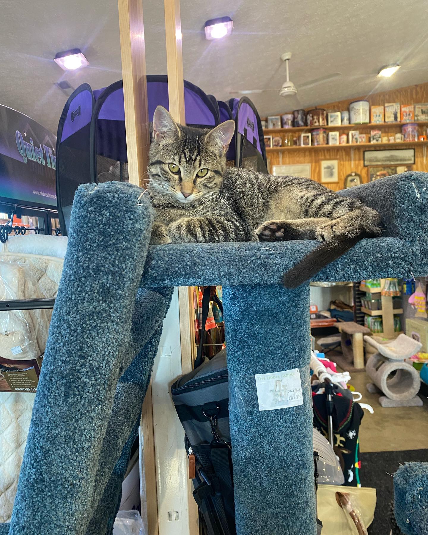 T&T Pet Food and Supply