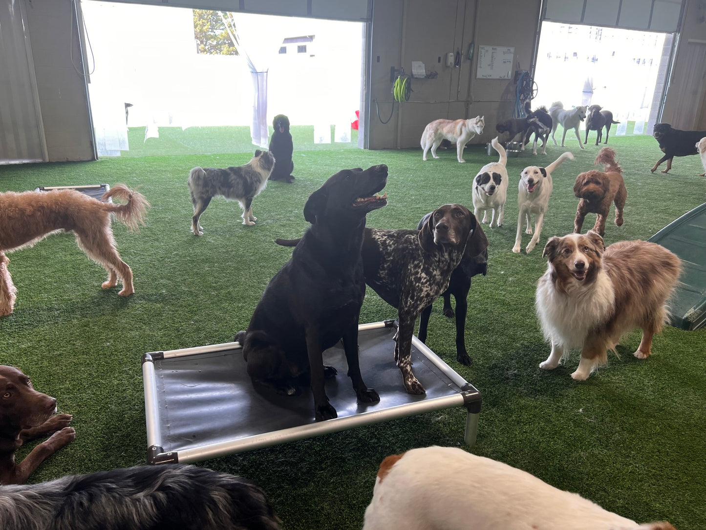 Escape the Crate - Garden City