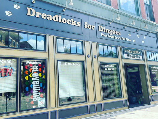 Dreadlocks for Dingoes