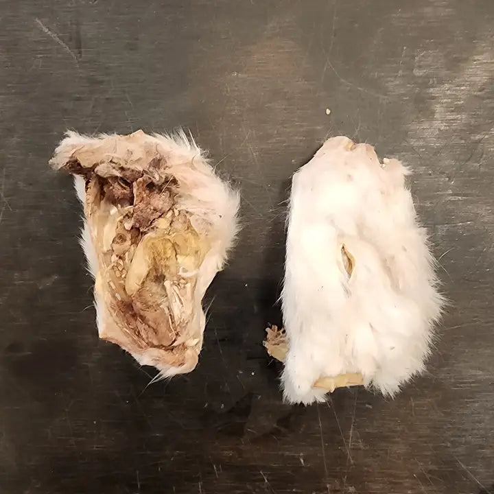 Rabbit Heads (Medium  Halves)