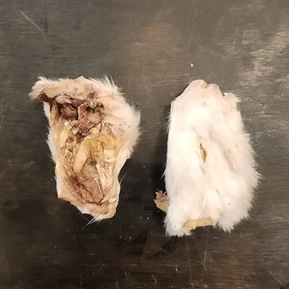 Rabbit Heads (Medium  Halves)