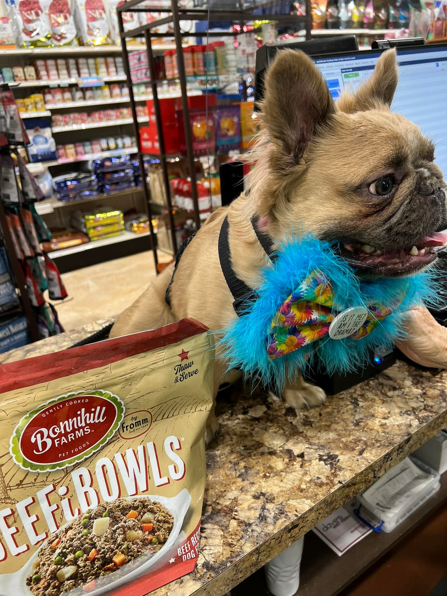 Natural Pet Specialty Shop