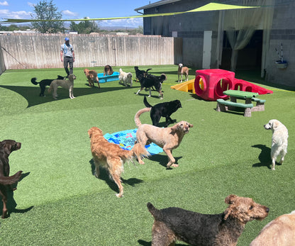 Escape the Crate - Garden City