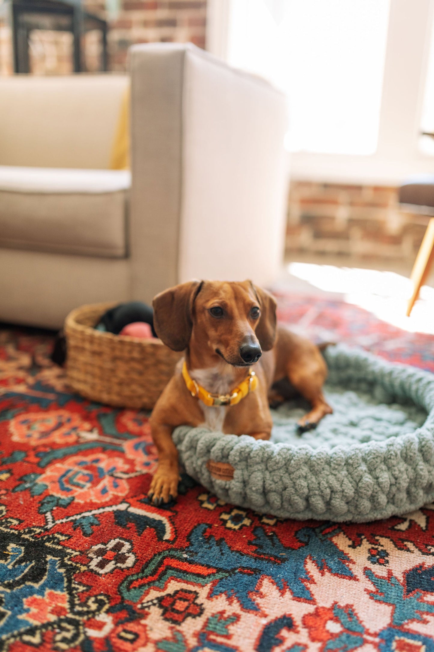 Mint pet bed