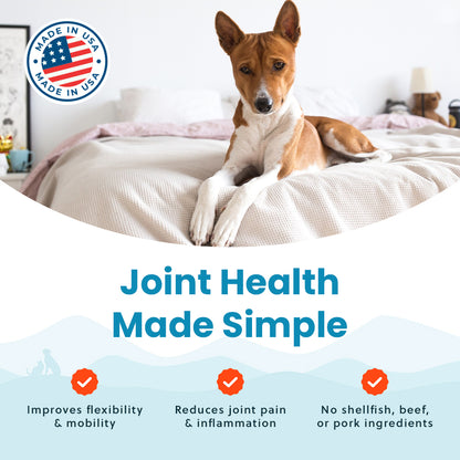 Vegetarian Glucosamine For Dogs