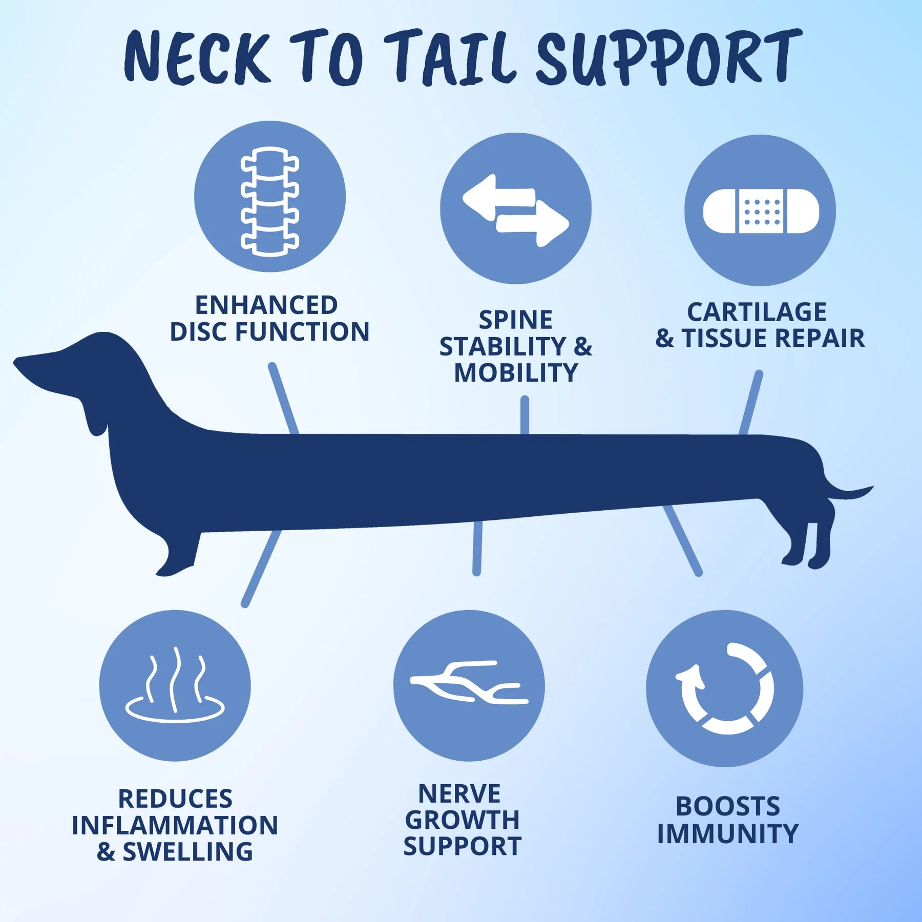 Disc and Spine Chews For Dogs