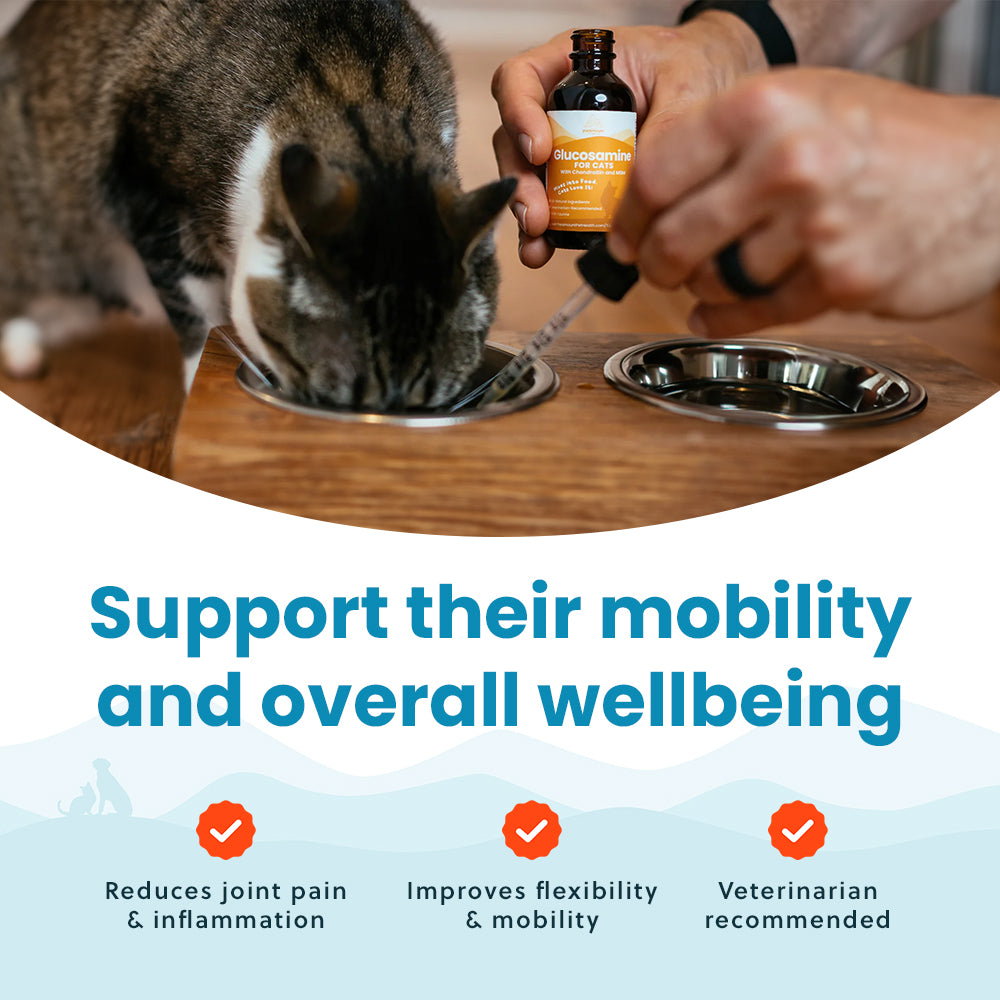 Liquid Glucosamine For Cats