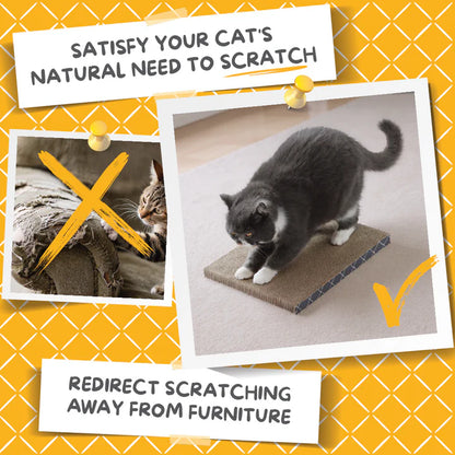 Scratch Pad Refills for Hide & Scratch Box (or use on their own)(Case of 14)