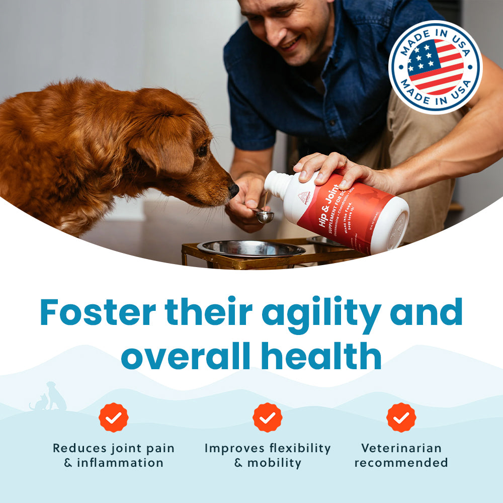 Liquid Glucosamine for Dogs