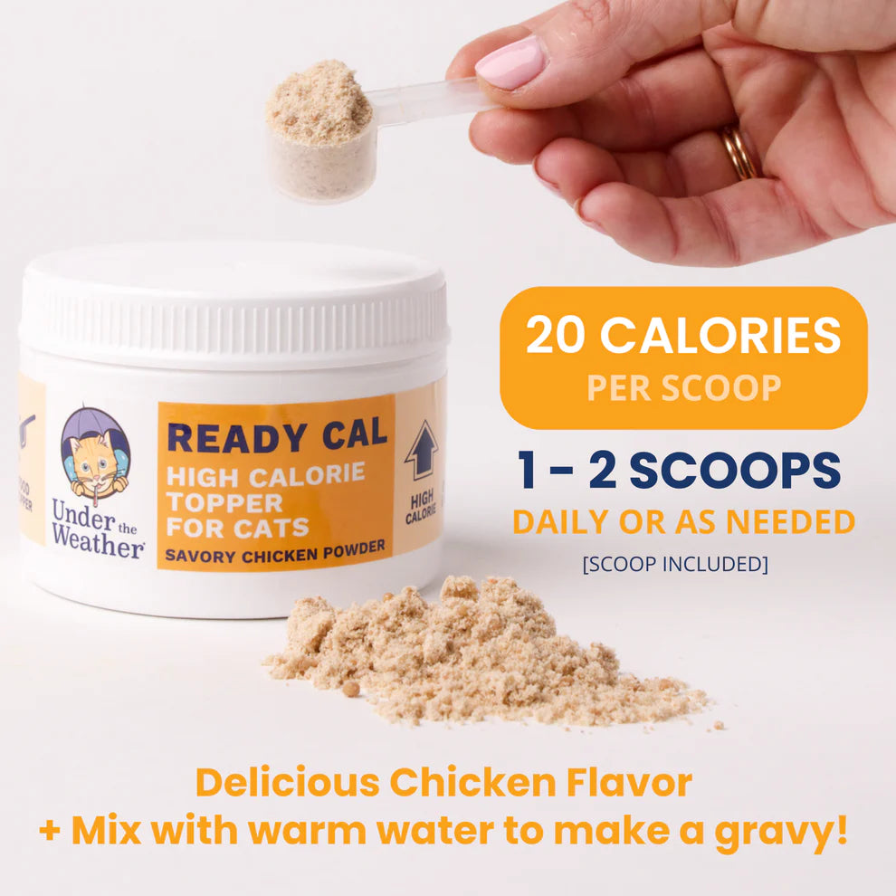 Ready Cal™ High Calorie Powder for Cats