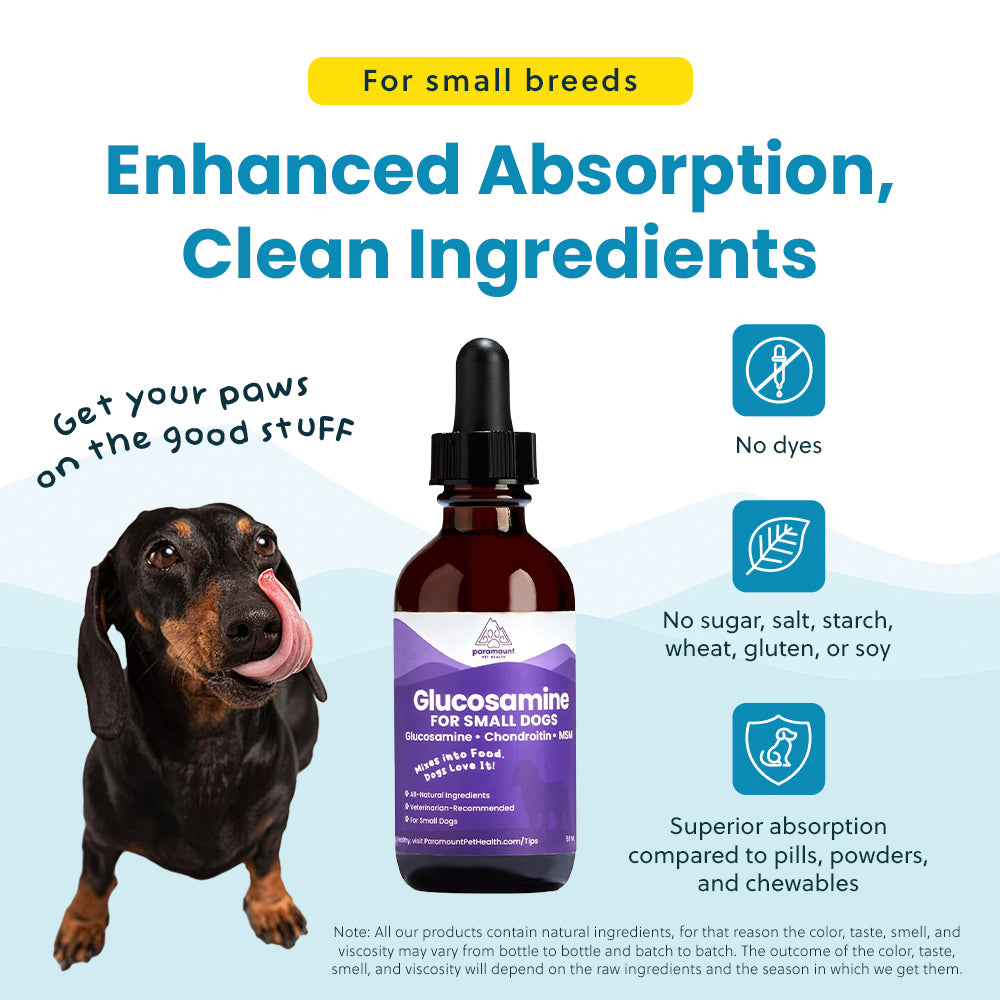 Liquid Glucosamine For Small Dogs